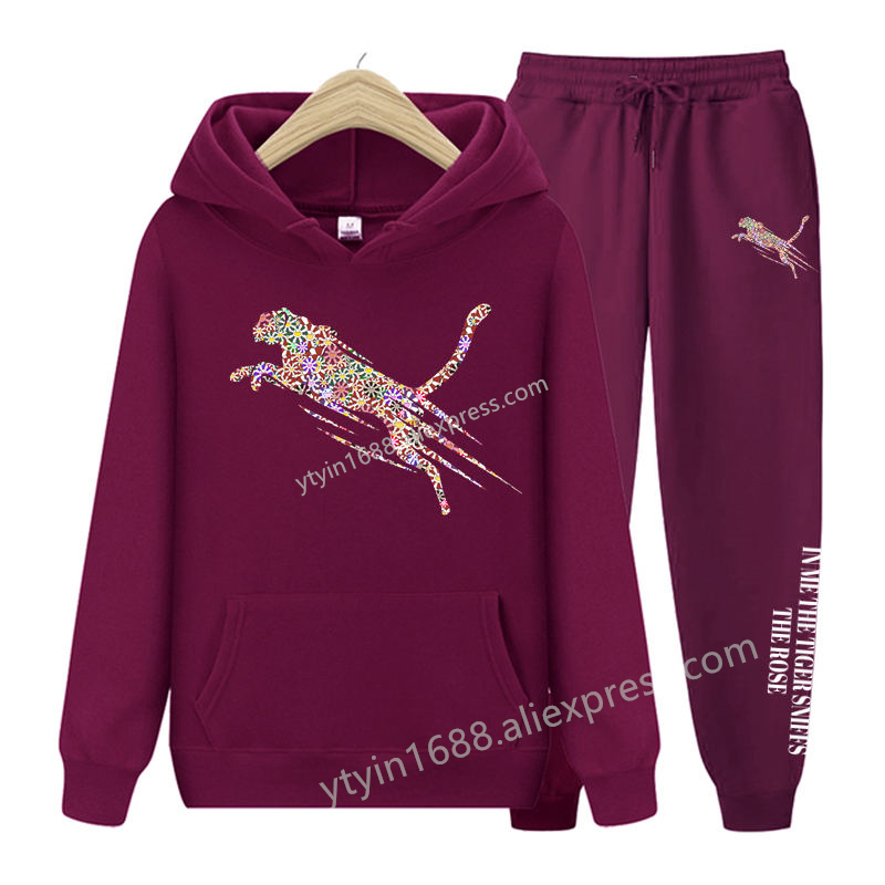 Dames trainingspak esthetische - Hoodie Women Oversized recensie en prijs