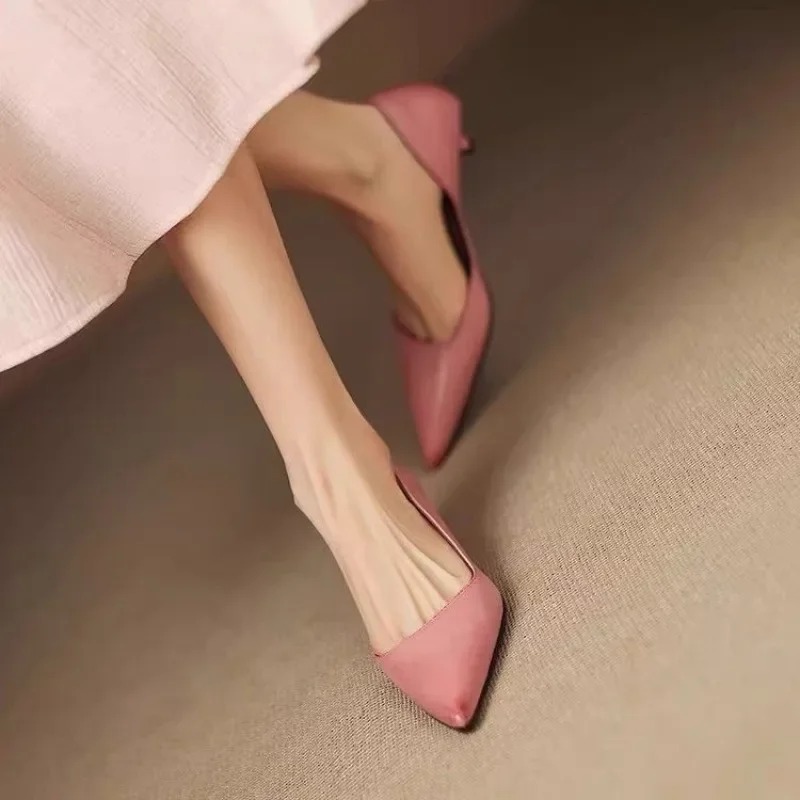 Dames puntschoen stiletto hakk - Women'S Fashion Footwear recensie en prijs