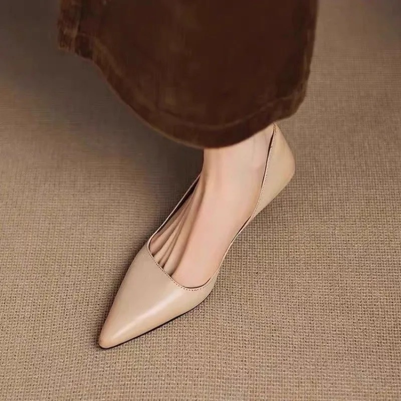 Dames puntschoen stiletto hakk - Women'S Fashion Footwear recensie en prijs
